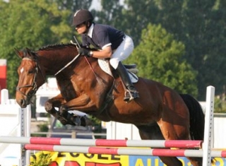 在 Fontenay le Comte 骑马 